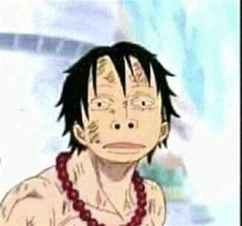 Some Cursed Image of Luffy’s Meme Face on Ace’s Body. (Found on Discord ...