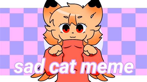 SAD CAT DANCE||meme animation||• - YouTube