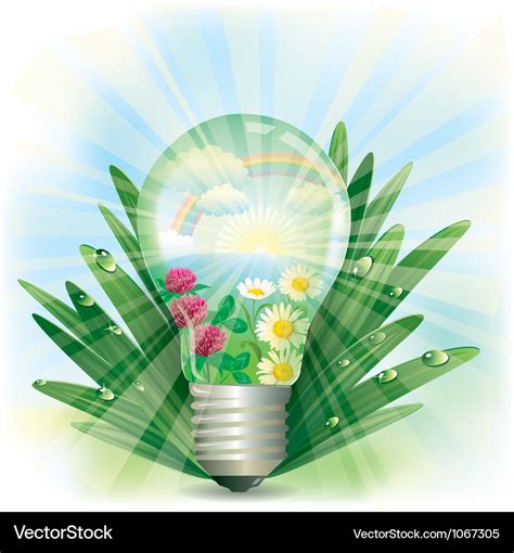 Natural light Royalty Free Vector Image - VectorStock