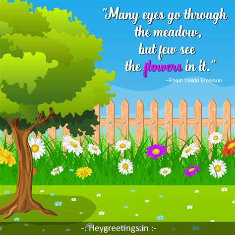 Flower Quotes - Hey Greetings