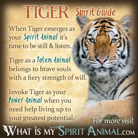 Tiger Symbolism & Meaning | Spirit, Totem & Power Animal