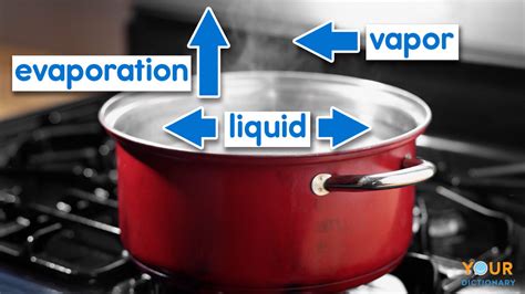 Evaporation Examples All Around You | YourDictionary