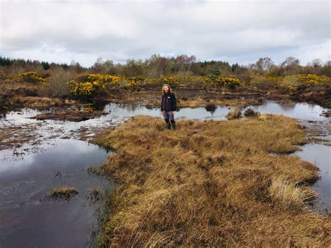 Life on Moyclare Bog - The Living Bog