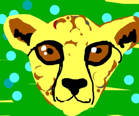 Adorable cheetah cub - Drawception