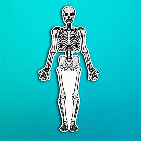 Dancing Skeleton Bumper Laptop Window Car Truck Decal Sticker 6 X 3 ...