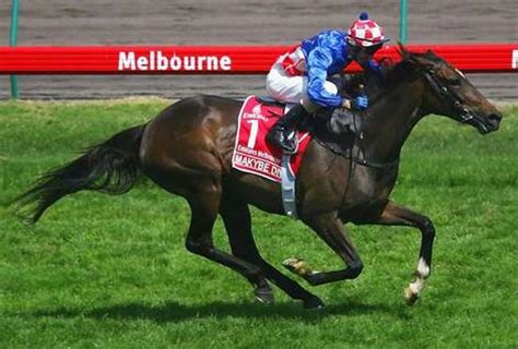 Makybe Diva - Melbourne Cup Photo (36009741) - Fanpop