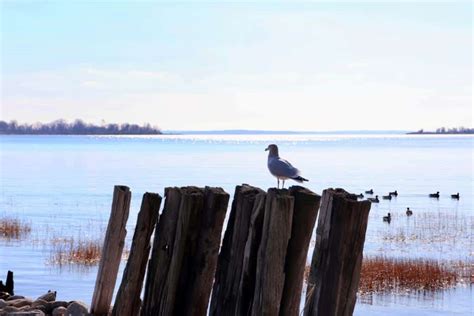 Sherwood Island State Park In Westport, CT | America's State Parks