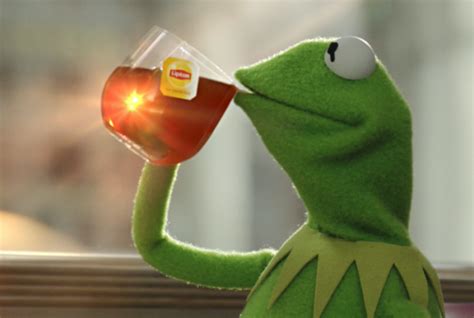 Kermit The Frog Stars In Hilarious New Internet Meme