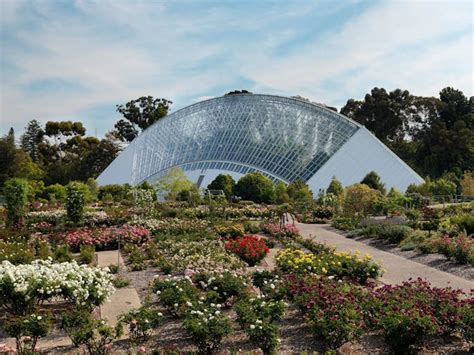 Adelaide Botanic Garden - Adelaide, Attraction | SA Tourism