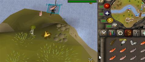 OSRS Fly Fishing Guide - NovaMMO