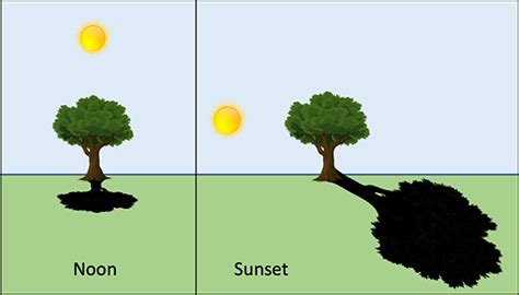 Explore Shadows with a Shadow Play | Lesson Plan