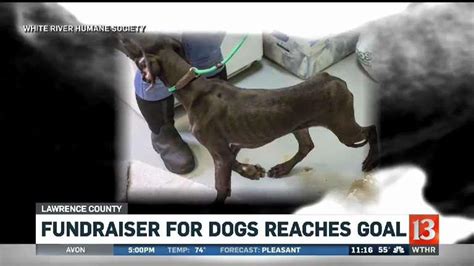 Fundraiser for Lawrence County animal shelter exceeds goal | wthr.com