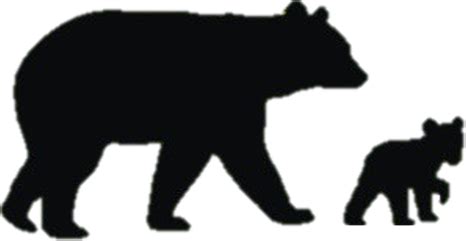 Bear clipart american black bear, Bear american black bear Transparent ...