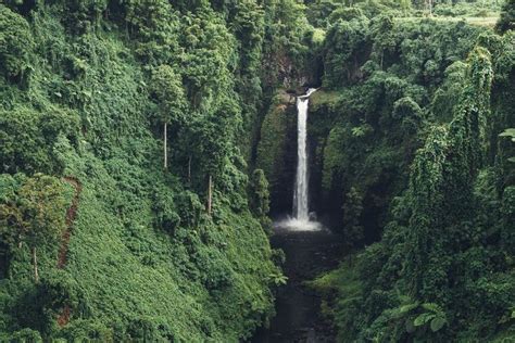 Jungle waterfall | Waterfall, Travel, Travel dreams