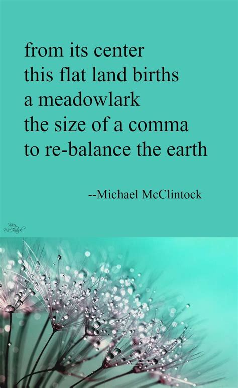 Tanka poem: from its center --by Michael McClintock. | Kinds of poetry ...