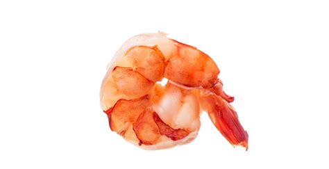 Shrimp PNG Picture | PNG All