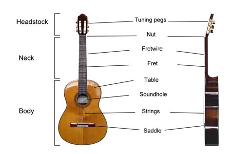 Learn How to Play the Guitar in 10 Steps (for beginners) | Simplifying ...