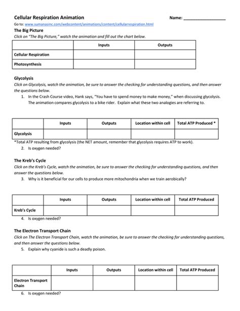 Cell respiration online activity