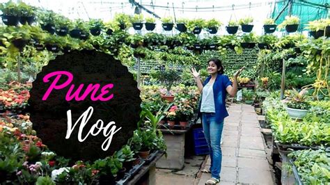 VLOG: Pune Nursery Visit + Succulent plant arrangement // Garden Up ...