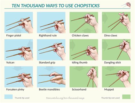 Ten thousand ways to use chopsticks : coolguides | Chopsticks, Ten ...