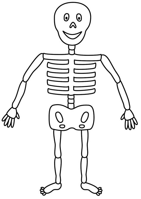 Free Skeleton For Kids, Download Free Skeleton For Kids png images ...