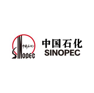 SinoPec | DSIGN