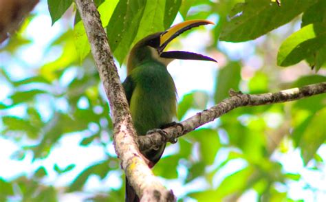 Belize | Travel Pioneers