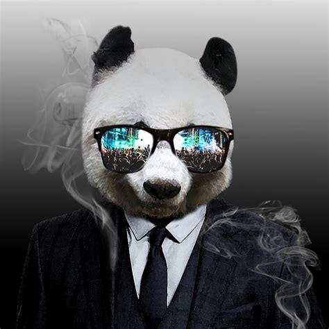 Profile Icon For DJ Pandamonium on Behance