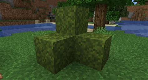 How to Get a Moss Block in Minecraft - Touch, Tap, Play