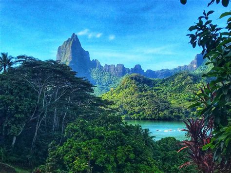 Island Vibes: 15 EPIC Things to Do in Moorea | Moorea tahiti, Tahiti ...