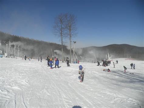 Wintergreen Ski Area - All You Need to Know BEFORE You Go - Updated ...