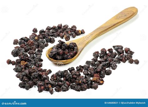 Schisandra berries stock image. Image of biological, health - 64680821