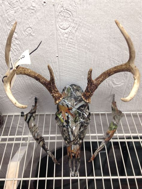 Whitetail deer buck skull and jaw hydro dipped in next vista camo ...