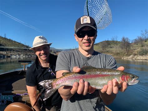 Sacramento River Fish Report - Sacramento River - Trout fishing on the ...