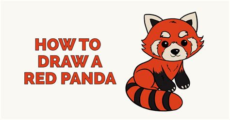 How To Draw A Red Panda at Drawing Tutorials