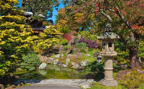 Tea House Gardens Photograph by John M Bailey - Fine Art America