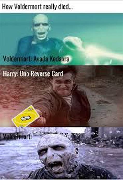 Voldemort memes | Fandom