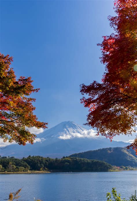 Fuji Five Lakes Area | Yamanashi | Tokai | Destinations | Travel Japan ...