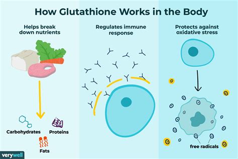 Glutathione: The Super Antioxidant - ANM Jupiter