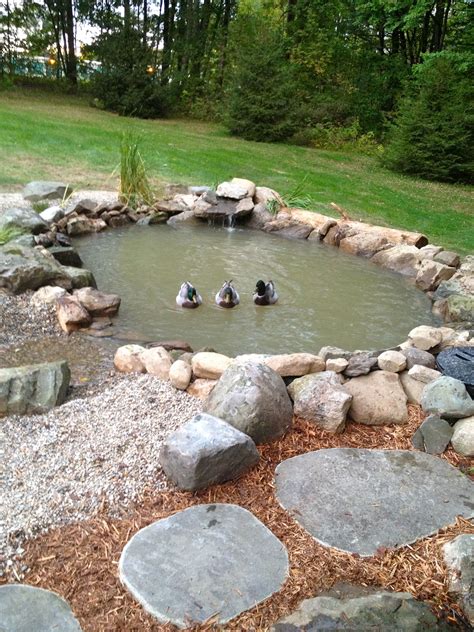 20+ Backyard Duck Pond Ideas – The Urban Decor