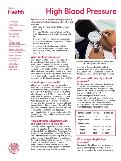 High Blood Pressure | PDF | Hypertension | Cardiovascular Diseases