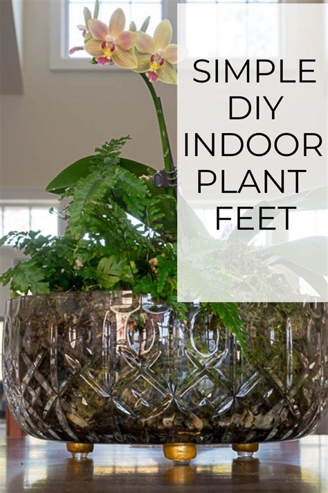 DIY Indoor Pot Feet: Quick & Easy · Nourish and Nestle