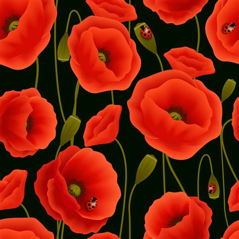 Poppy seamless pattern 460505 Vector Art at Vecteezy