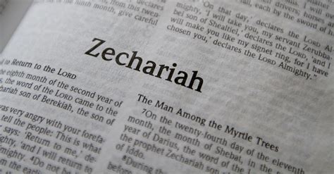 Zechariah - Bible Book Chapters and Summary - New International Version