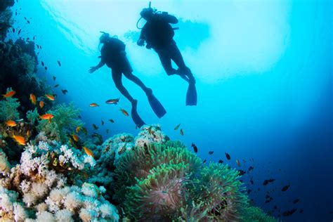 Galapagos Diving: Liveaboards for Every Budget | Two Wandering Soles