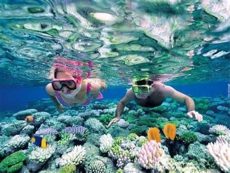 Tour Snorkeling - Tours and Activities in San Andres