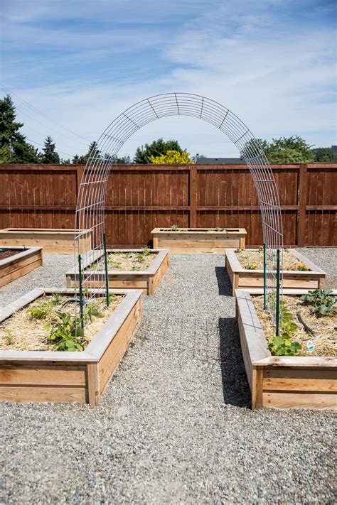 an outdoor vegetable garden with wooden benches and plants in the ...