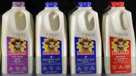 Dairy Giant Borden Files for Bankruptcy Protection - The New York Times