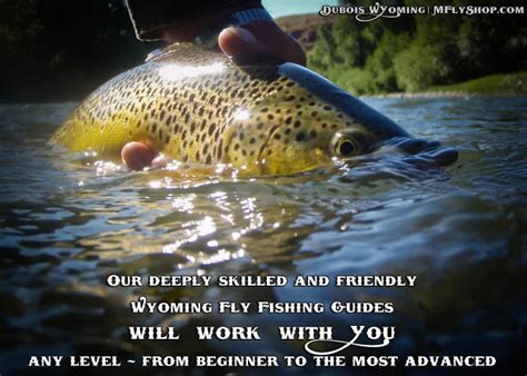 Skilled Wyoming Fly Fishing Guides in Dubois Wyoming will put you on ...