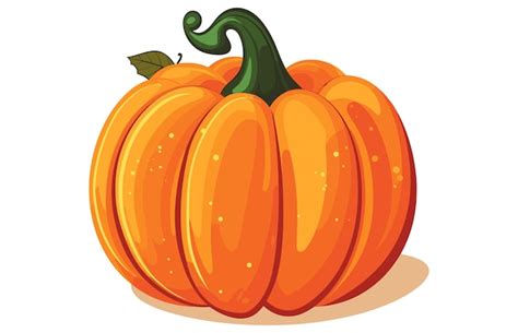 Colorful Cute Pumpkin vector illustration Thanksgiving Pumpkin and fall ...